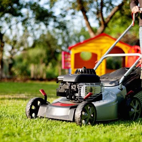 Grass Cutting
